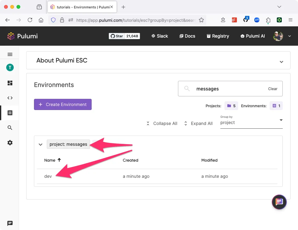 A screenshot showing a newly created ESC environment