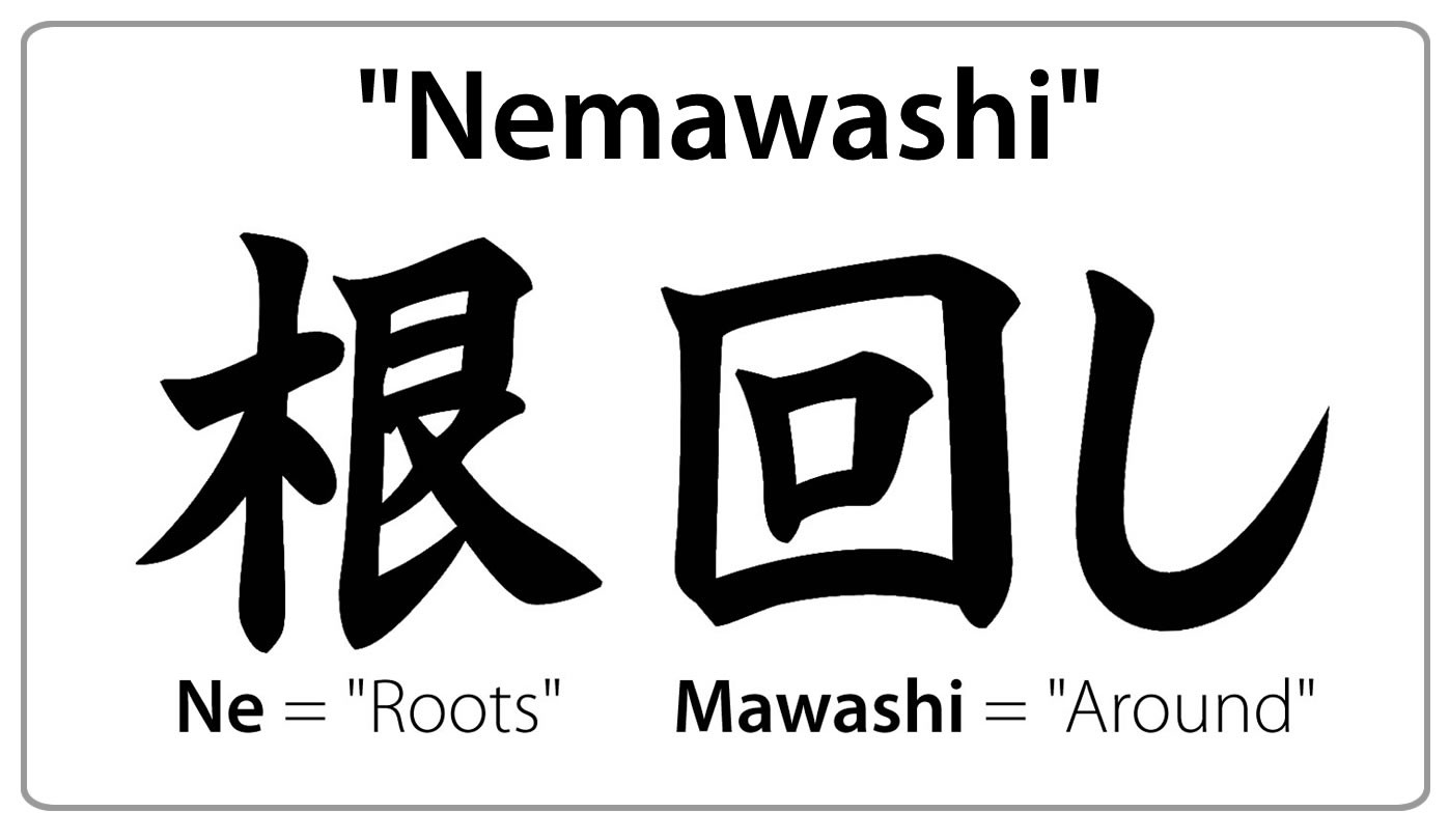 Nemawashi: Building consensus through individual conversations