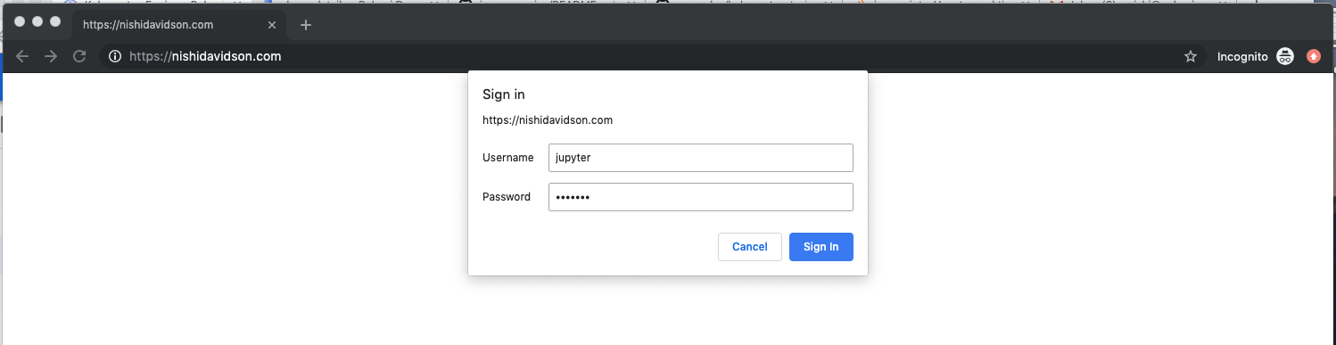 Jupyter notebook login