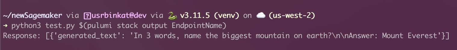 Screenshot of executing test.py in terminal to generate a response to the question &ldquo;what is the biggest mountain on earth?&rdquo;