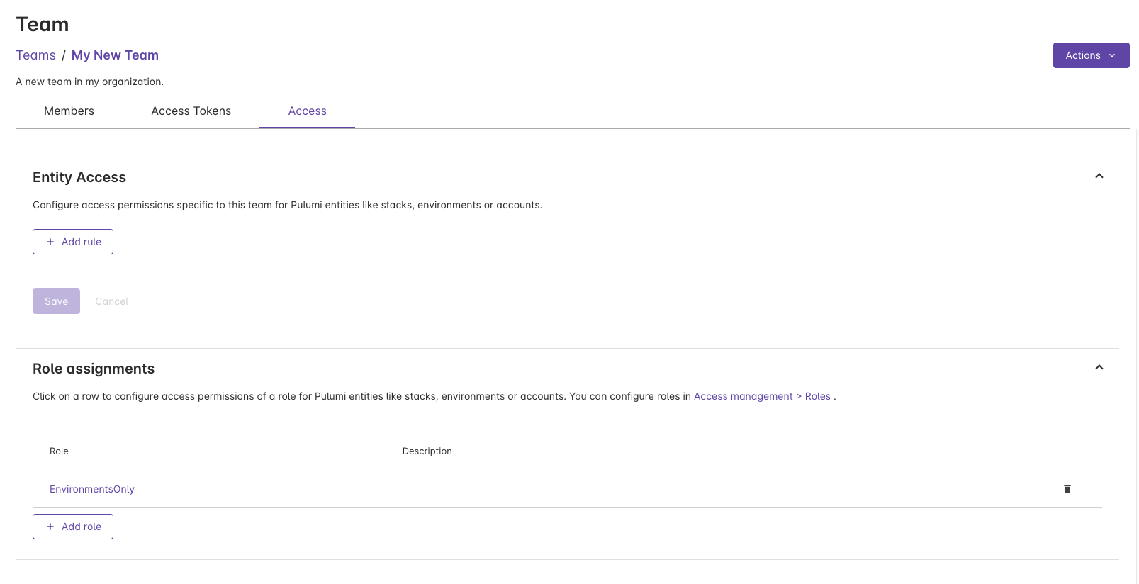 Team Access tab showing Entity Access and Role assignments sections