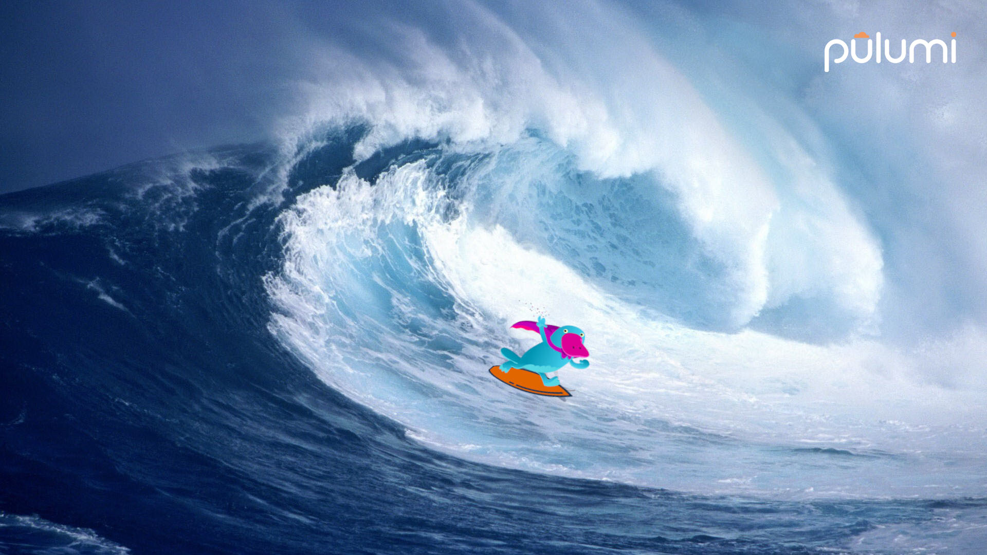 Shred the Gnar